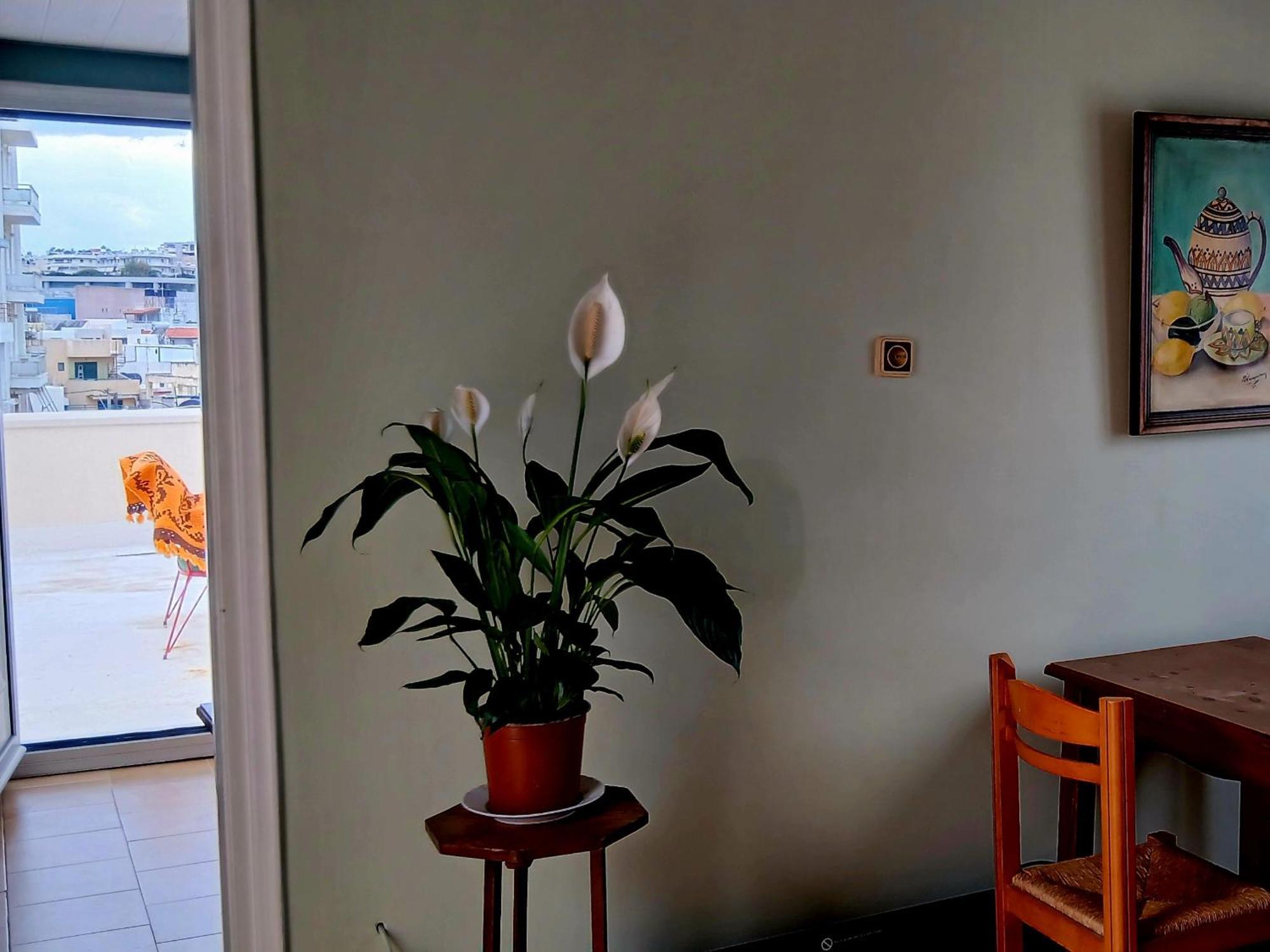 Doukas Rooms Herakleio Crete Iraklio Eksteriør bilde